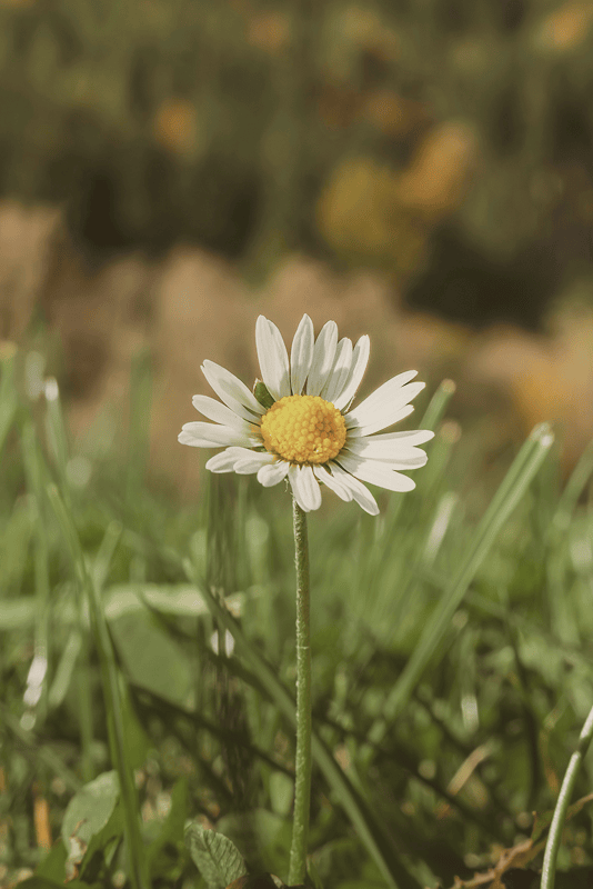 Therapy for children and teens